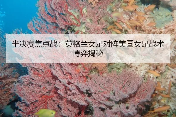半决赛焦点战：英格兰女足对阵美国女足战术博弈揭秘