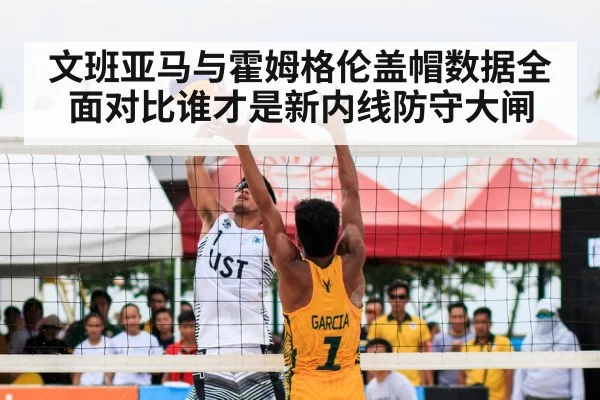 文班亚马与霍姆格伦盖帽数据全面对比谁才是新内线防守大闸